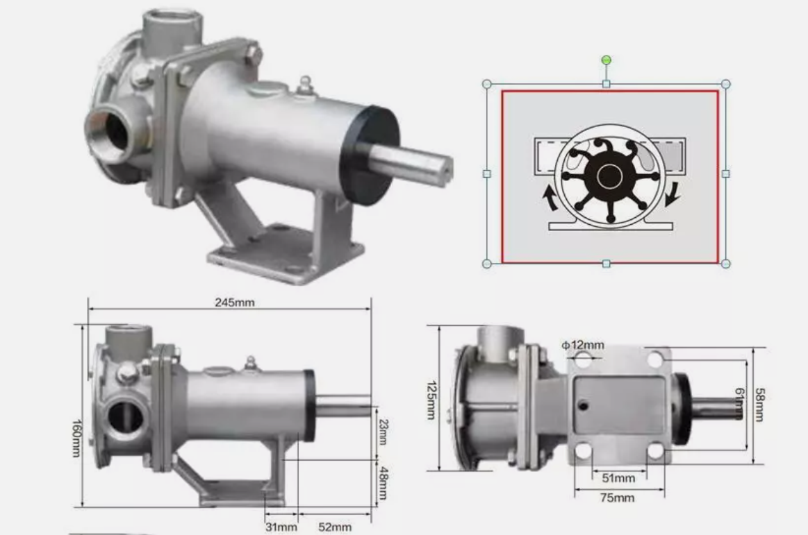 Soxa Marine 1-1/4" Flexible Impeller Stainless steel General Multi-Purpose Pump